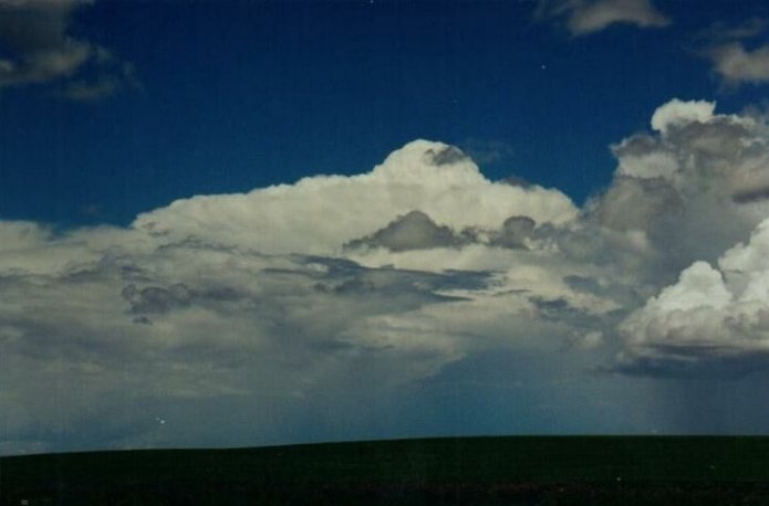 Taken by Anthony Cornelius