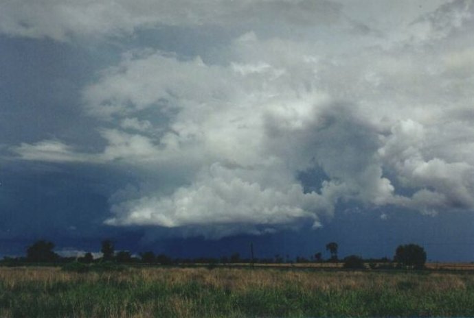 Taken by Anthony Cornelius