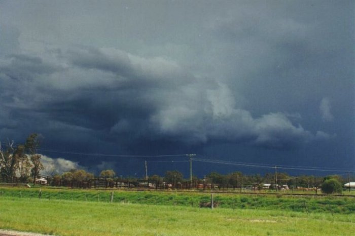 Taken by Anthony Cornelius