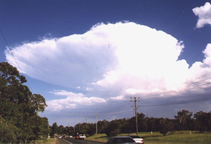 Taken by Anthony Cornelius