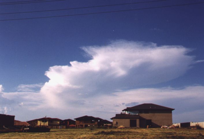 Taken by Anthony Cornelius