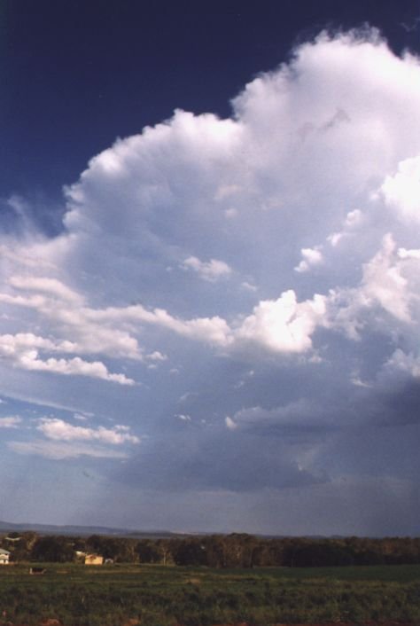 Taken by Anthony Cornelius