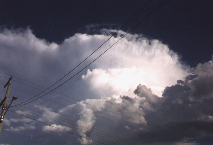 Taken by Anthony Cornelius