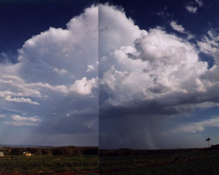 Taken by Anthony Cornelius