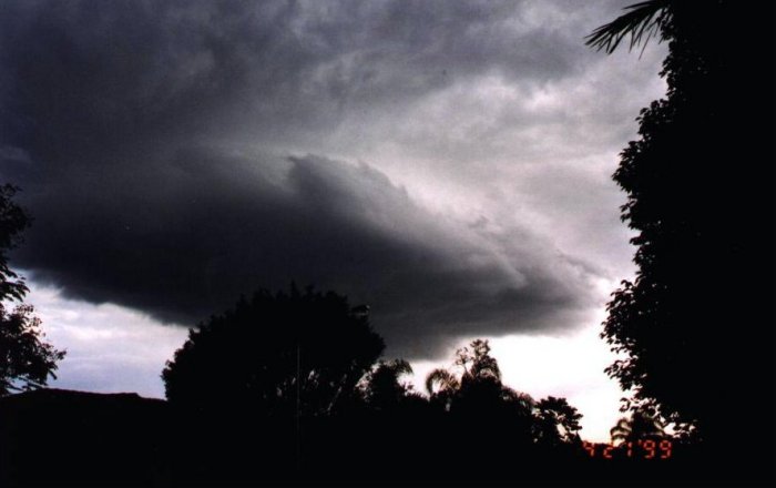 Photo  Anthony Cornelius