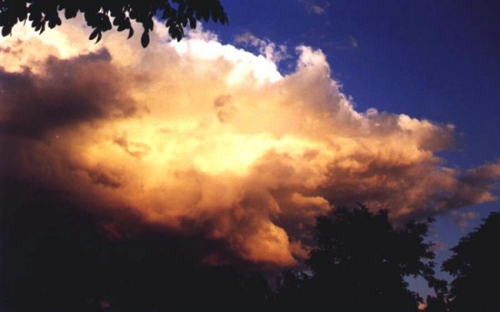 Taken by Anthony Cornelius