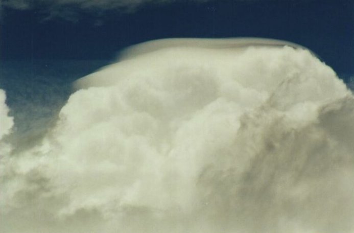 Photo  Anthony Cornelius