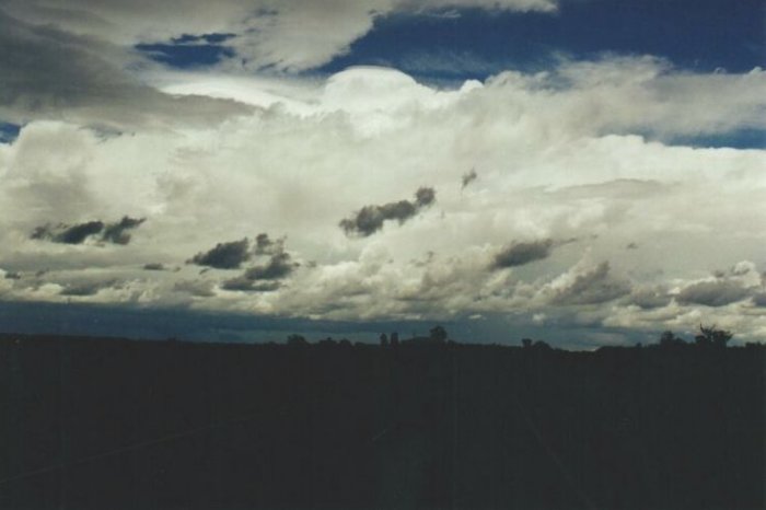 Photo  Anthony Cornelius