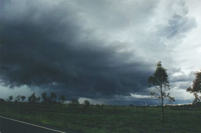 Photo  Anthony Cornelius