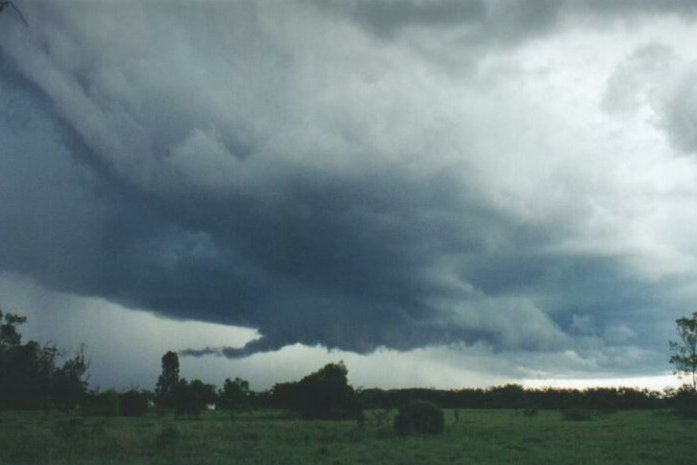 Photo  Anthony Cornelius