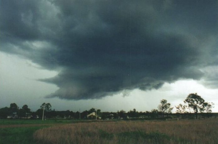 Photo  Anthony Cornelius