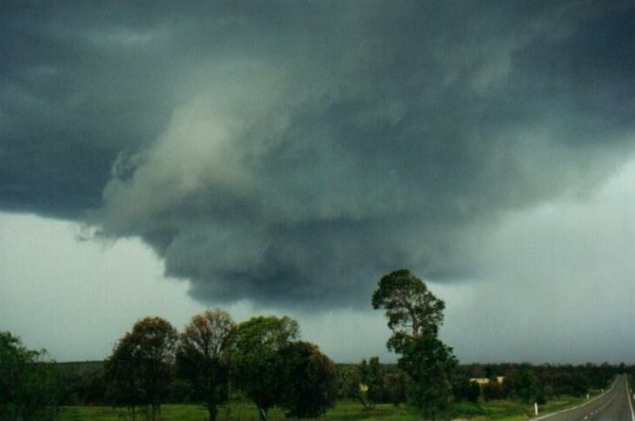 Photo  Anthony Cornelius