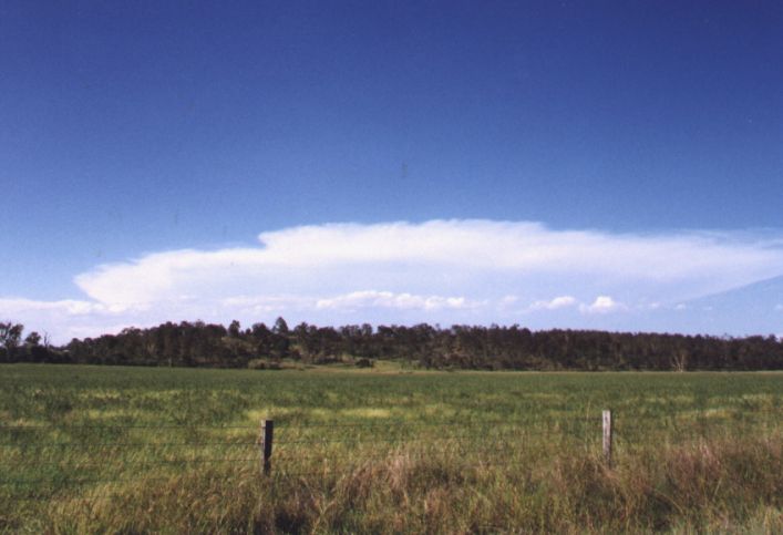 Photo  Anthony Cornelius