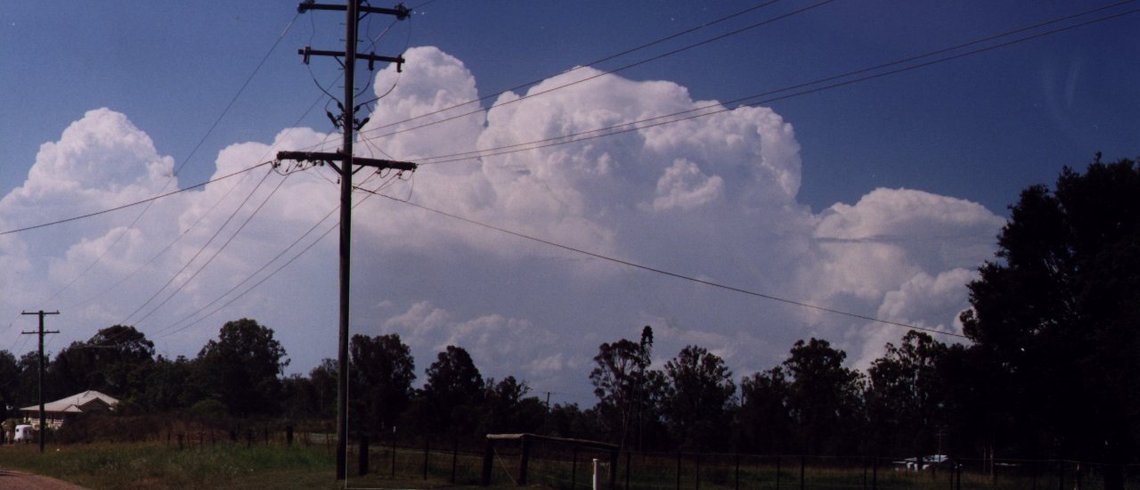 Photo  Anthony Cornelius