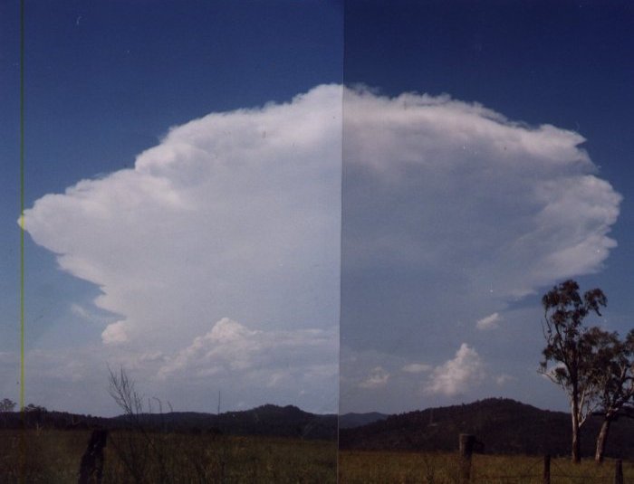 Photo  Anthony Cornelius