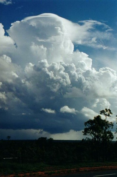 Photo  Anthony Cornelius