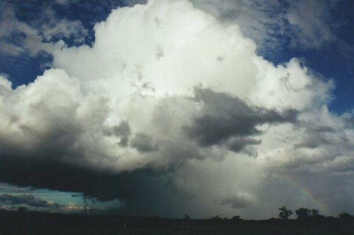 Photo  Anthony Cornelius