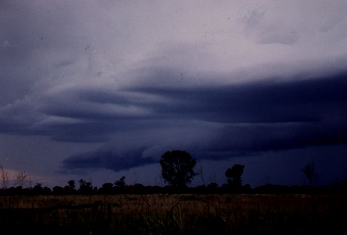 Taken by Anthony Cornelius