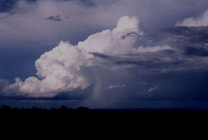 Taken by Anthony Cornelius