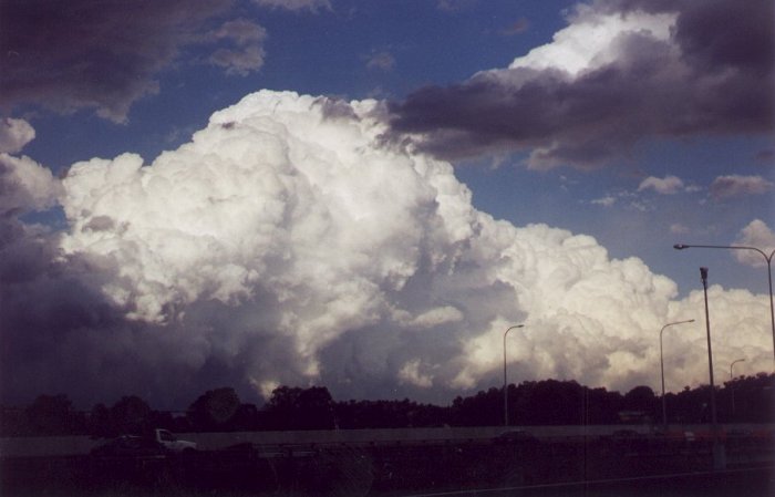 Taken by Anthony Cornelius