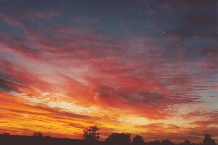 Taken by Anthony Cornelius