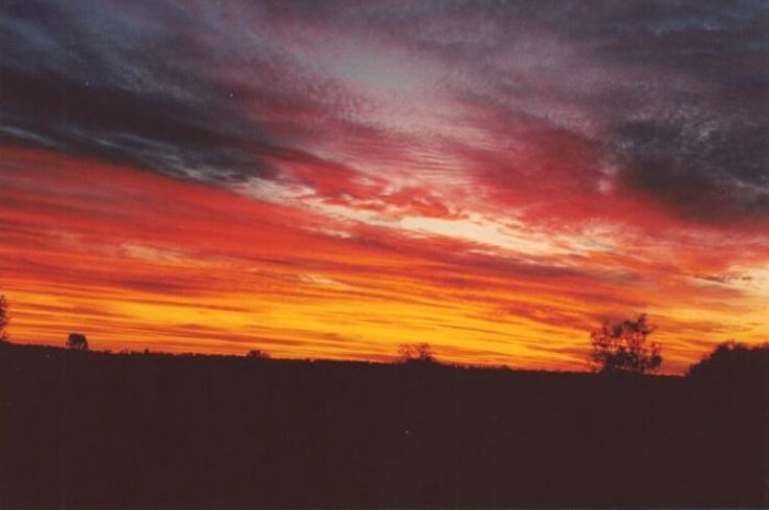 Taken by Anthony Cornelius