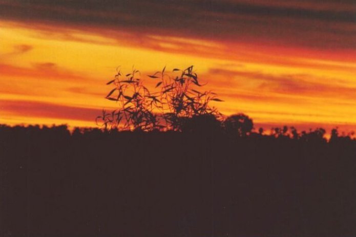 Taken by Anthony Cornelius