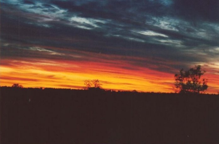 Taken by Anthony Cornelius