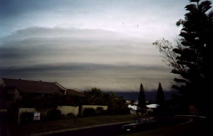 Photo  Anthony Cornelius