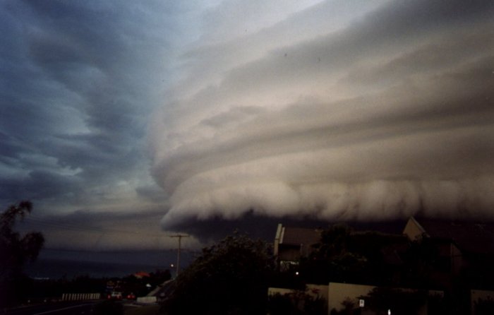 Photo  Anthony Cornelius