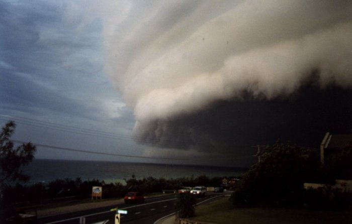 Photo  Anthony Cornelius