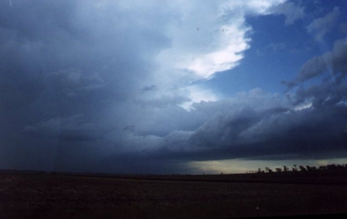 Photo  Anthony Cornelius