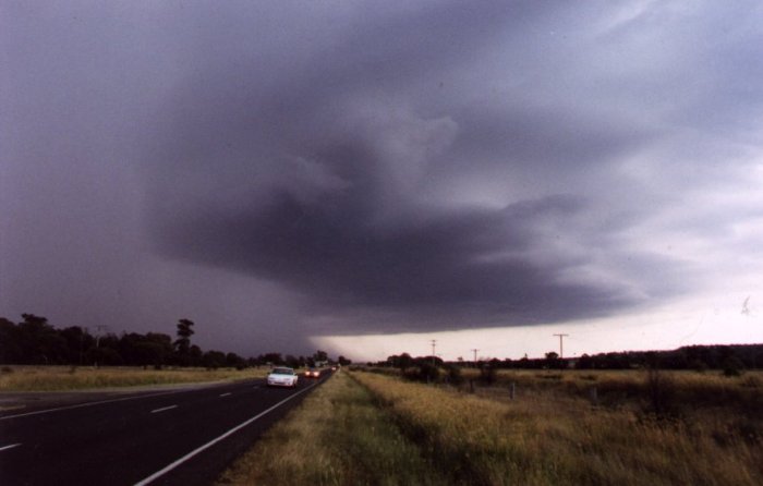 Taken by Anthony Cornelius