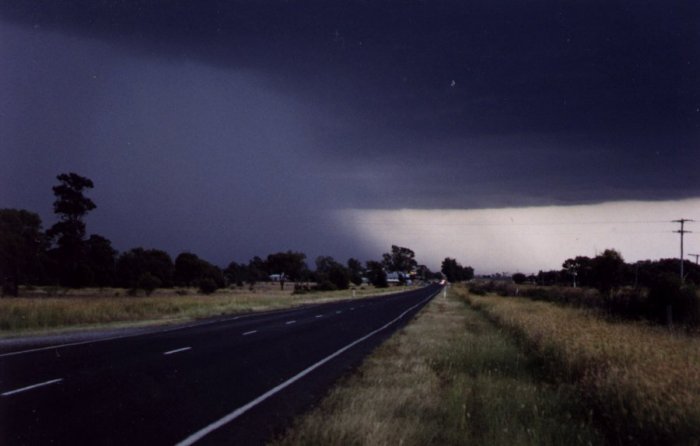 Photo  Anthony Cornelius