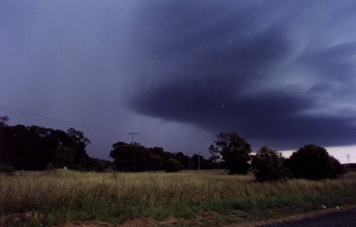 Taken by Anthony Cornelius