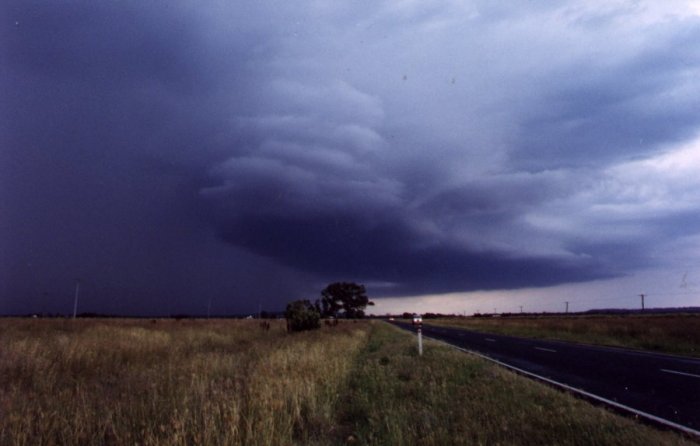 Photo  Anthony Cornelius