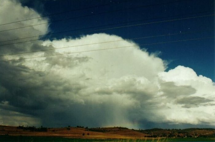 Taken by Anthony Cornelius