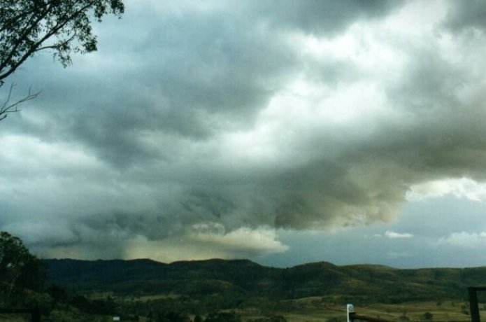 Photo  Anthony Cornelius