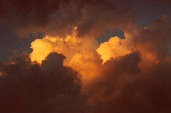 Photo  Anthony Cornelius