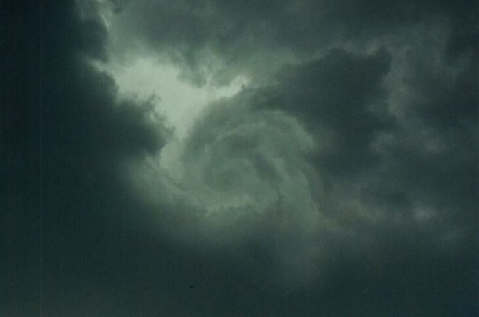 Photo  Anthony Cornelius