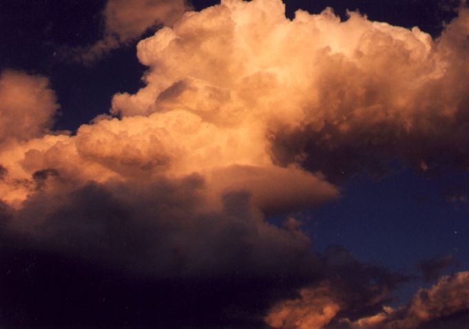 Taken by Anthony Cornelius