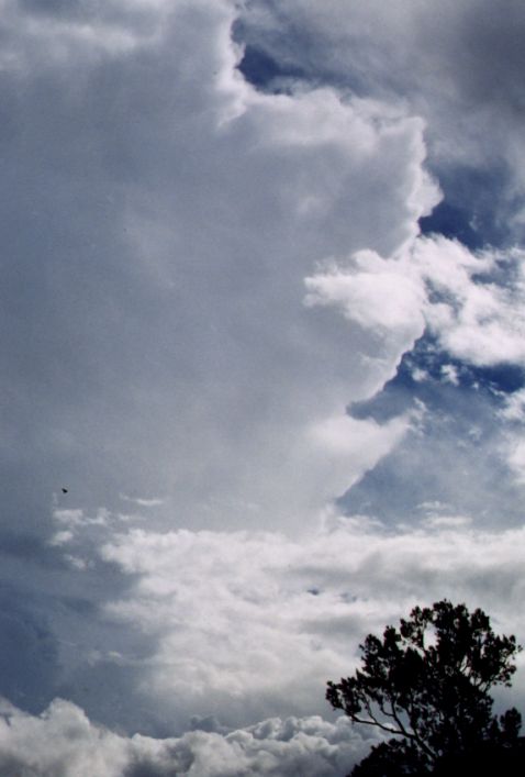 Taken by Anthony Cornelius