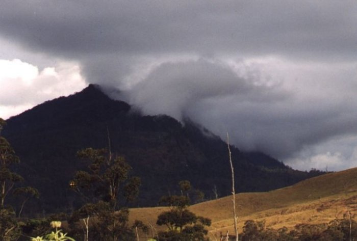 Taken by Anthony Cornelius