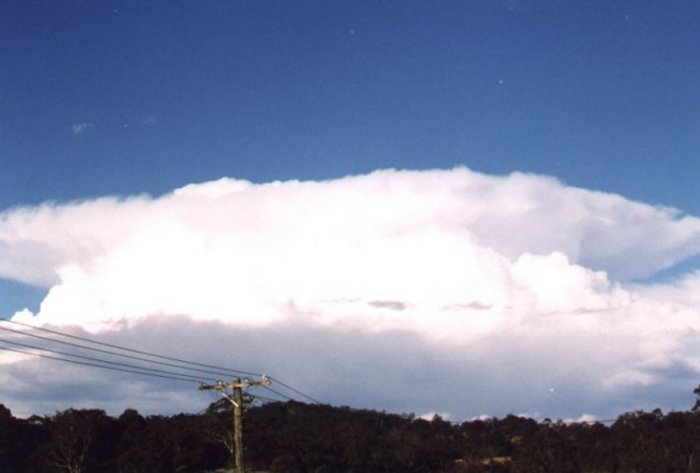 Taken by Anthony Cornelius