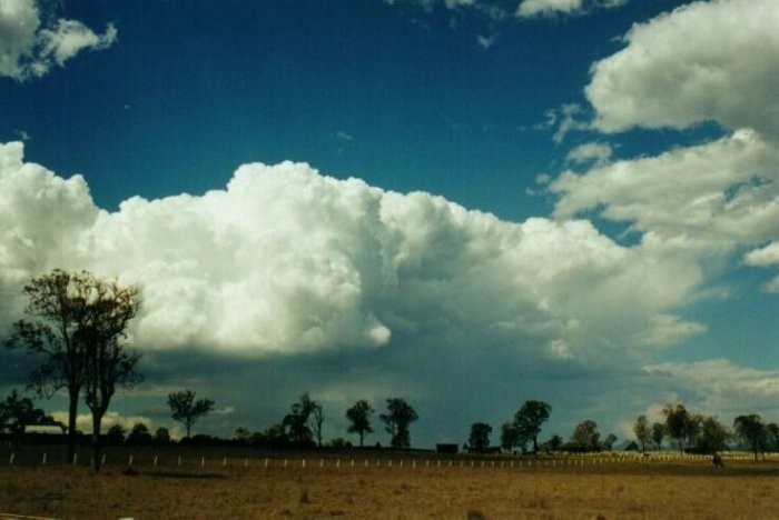 Taken by Anthony Cornelius