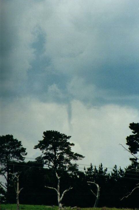 Photo  Anthony Cornelius