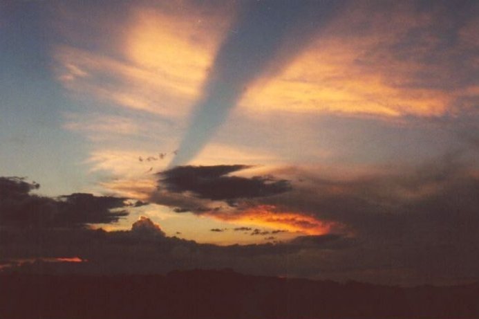 Photo  Anthony Cornelius