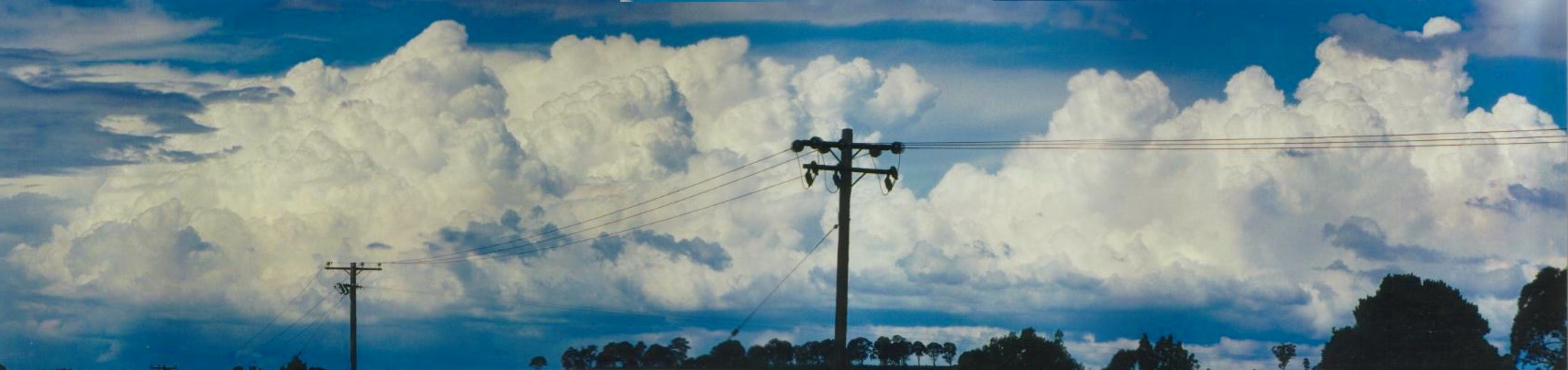 Photo  Anthony Cornelius