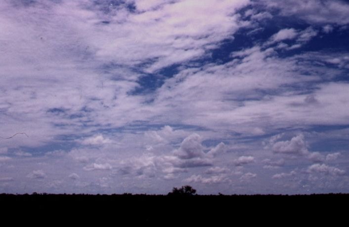 Taken by Anthony Cornelius