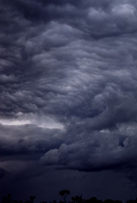 Taken by Anthony Cornelius